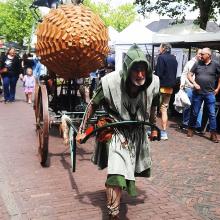 TG Dapper Bolster [foto Margo van Asten]