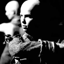 Knuffelstaal TG Dapper