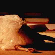 Doornroosje - Toneelgroep Dapper