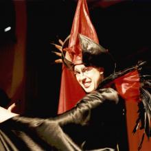 Doornroosje door TG Dapper 2000