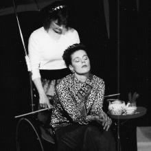 Bokvogels Toneelgroep Dapper