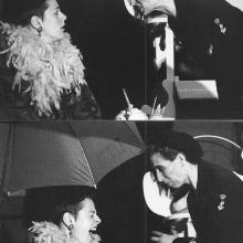 Bokvogels Toneelgroep Dapper