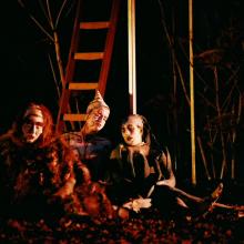 Vrouw Holle - Toneelgroep Dapper