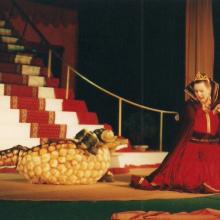 Doornroosje - Toneelgroep Dapper