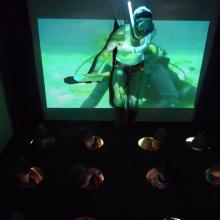 Dapper TRANSFORMER I