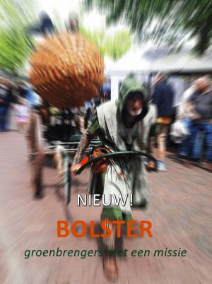 TG Dapper Bolster